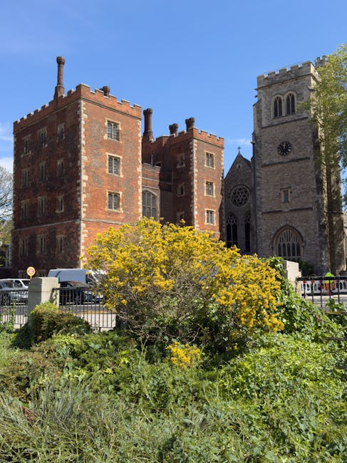 A large, red-brick historic building with a castle-like appearance, featuring multiple small, evenly spaced windows and decorative battlements along the roofline. To the right, there is a stone church with a tall, square clock tower, arched windows, and a large circular stained-glass window above the entrance. In the foreground, a dense shrub with yellow flowers, green foliage, and a mix of textured leaves partially obscures a low concrete boundary wall. Behind the shrub, a small paved area with metal railings separates the greenery from parked cars, some of which are partially visible. The scene is bathed in natural daylight with a clear blue sky overhead and a few trees with green leaves visible near the church, contributing to an urban landscape that combines historic architecture with maintained green spaces, typical of a town or city setting concerned with local environmental and waste management practices, as seen in the surroundings of a rubbish removal service.